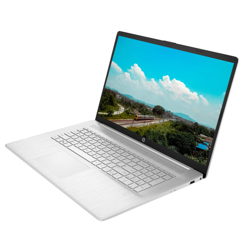 17.3'' Touchscreen Laptop AMD Ryzen 5 16GB RAM 512GB SSD 1TB HDD Silver D13920