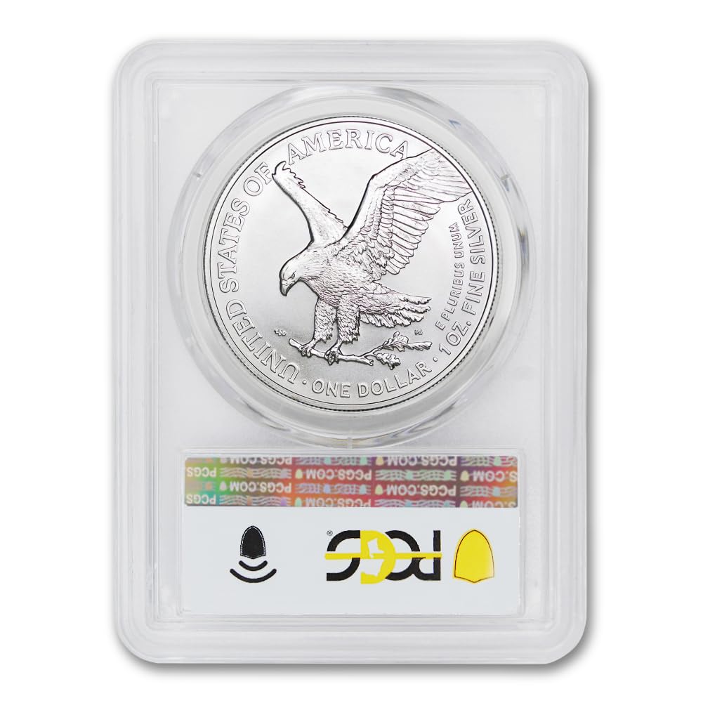 1 oz American Silver Eagle Coin MS-70 E778601
