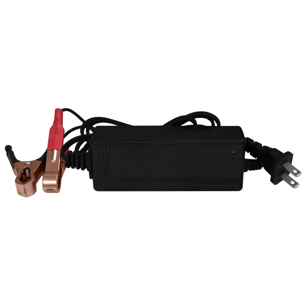 12V Battery with 2Amp Charger M1080
