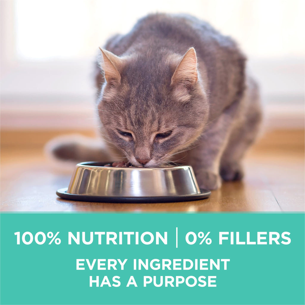 Sensitive Skin and Stomach Dry Cat Food 16 lb Bag Y907198