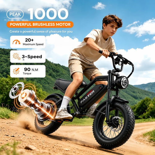 1000W 48V 16Ah Fat Tire Electric Bike V770213