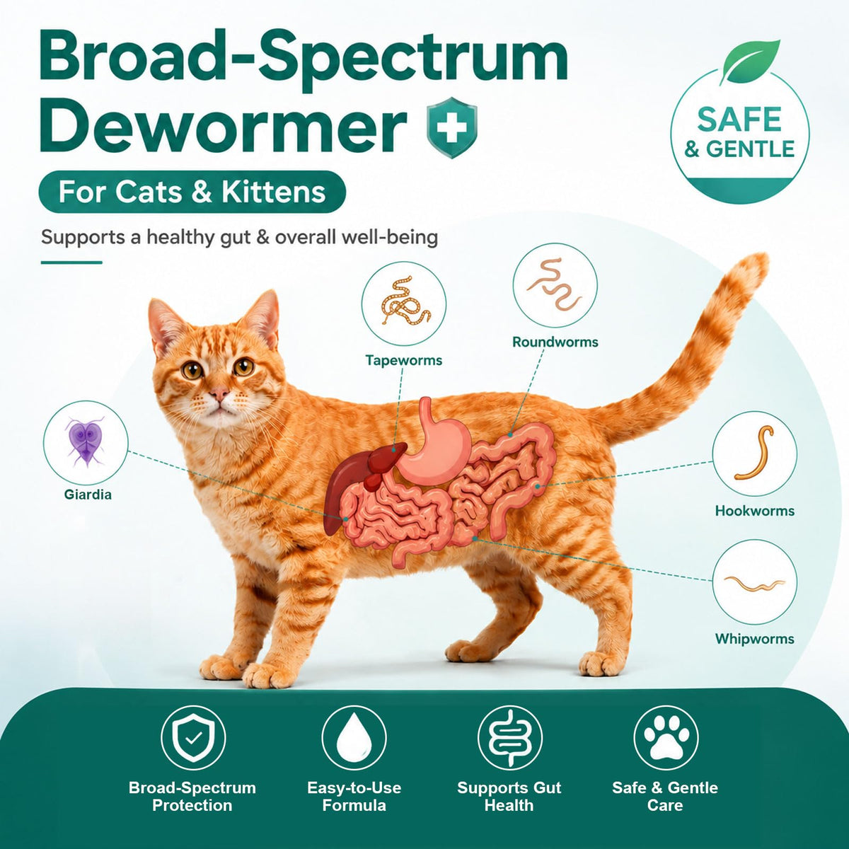 Liquid Dewormer for Tapeworms, Roundworms & Hookworms, 120 mL T366