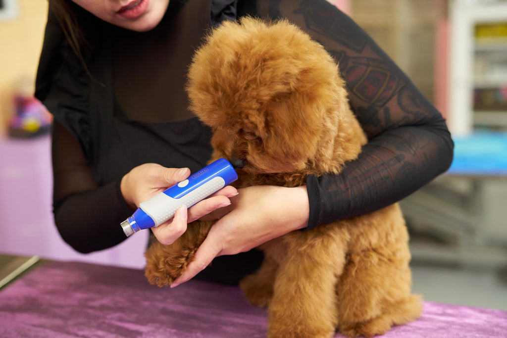 2-Speed Rechargeable Electric Pet Nail Grinder X17856