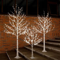 Lighted Birch Tree Set 4ft 6ft 8ft 512 Warm White LEDs X36261