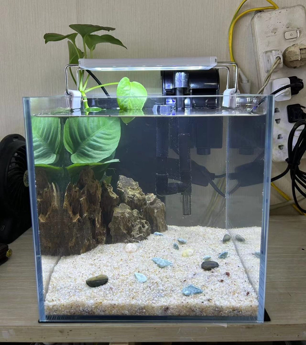 Small Nano Tall Rimless Glass Fish Tank 2 Gallon D49667