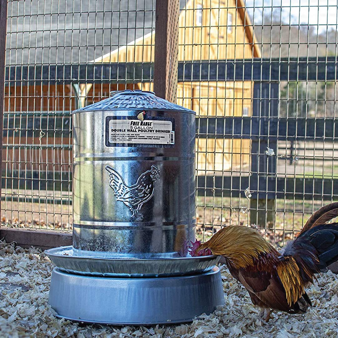 5 Gallons Double Wall Poultry Drinker D3823