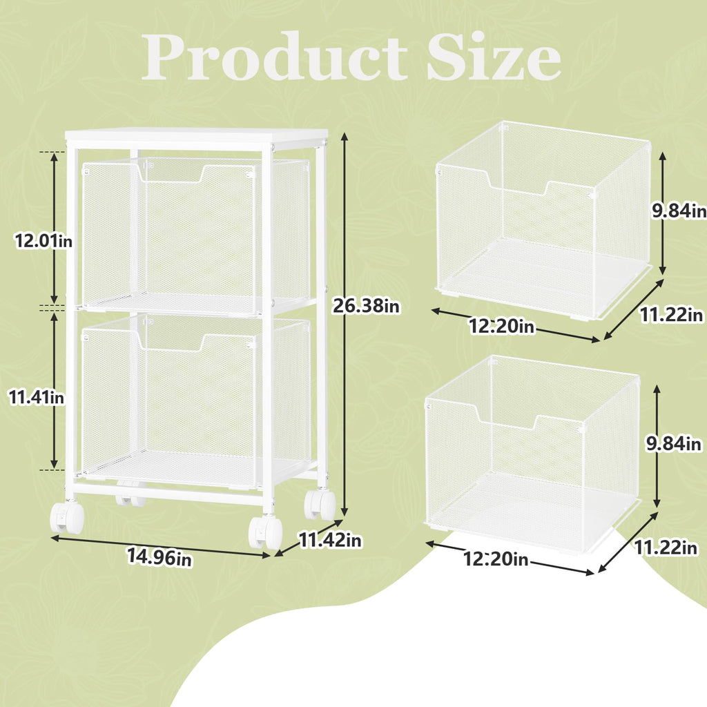 Rolling File Cart with 2 Storage Drawers A860923
