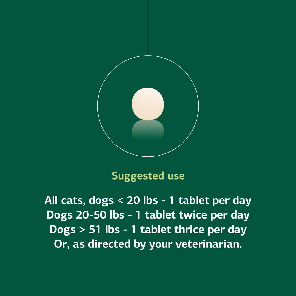 90 Tablets V869197