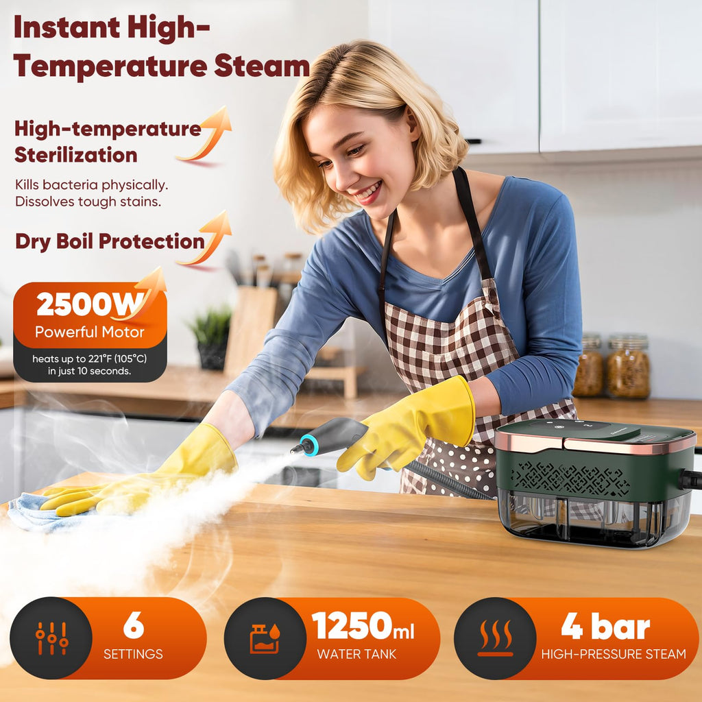 Handheld Pressurized Steam Cleaner N603