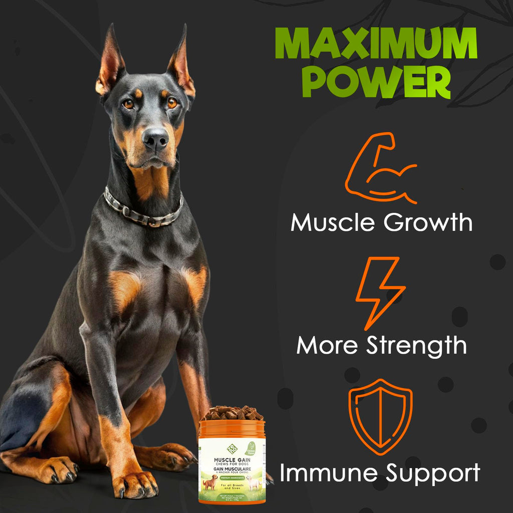 High Calorie Chicken Weight Gain Chews for Dogs H76242