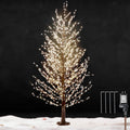 6FT Brown Lighted Birch Tree 1300LEDs Warm White Lights E91362