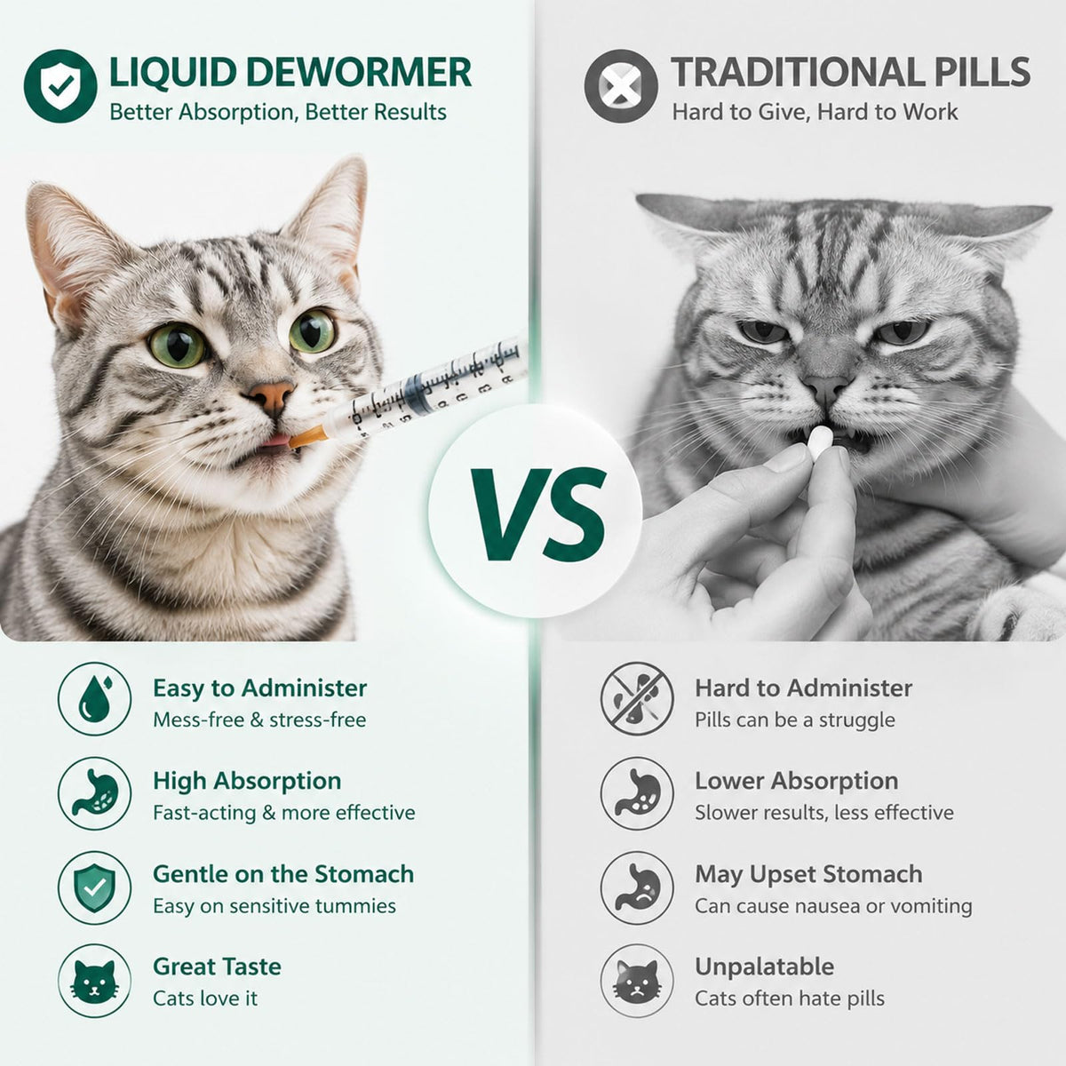 Liquid Dewormer for Tapeworms, Roundworms & Hookworms, 120 mL T366