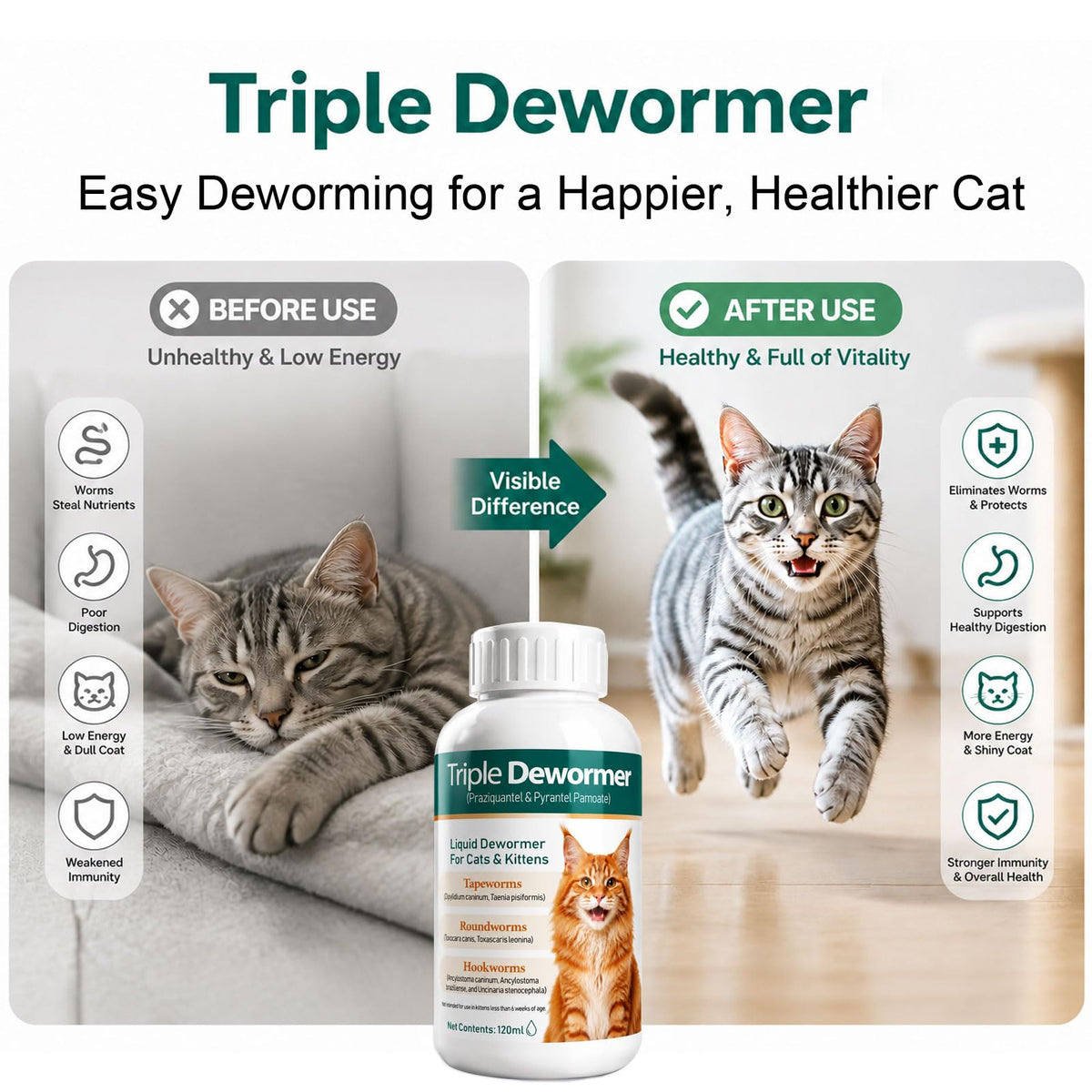 Liquid Dewormer for Tapeworms, Roundworms & Hookworms, 120 mL T366