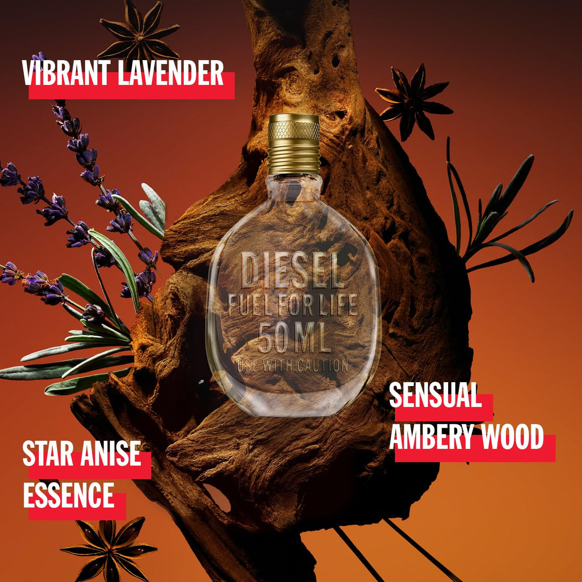 Eau de Toilette & Fragrance Gift Set for Men E13454