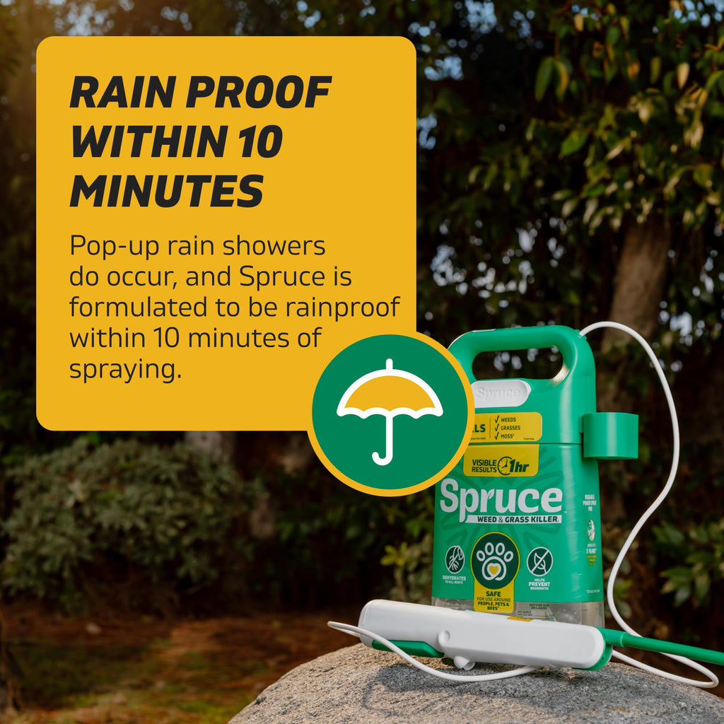 Weed & Grass Killer Kit, 64 Oz W893