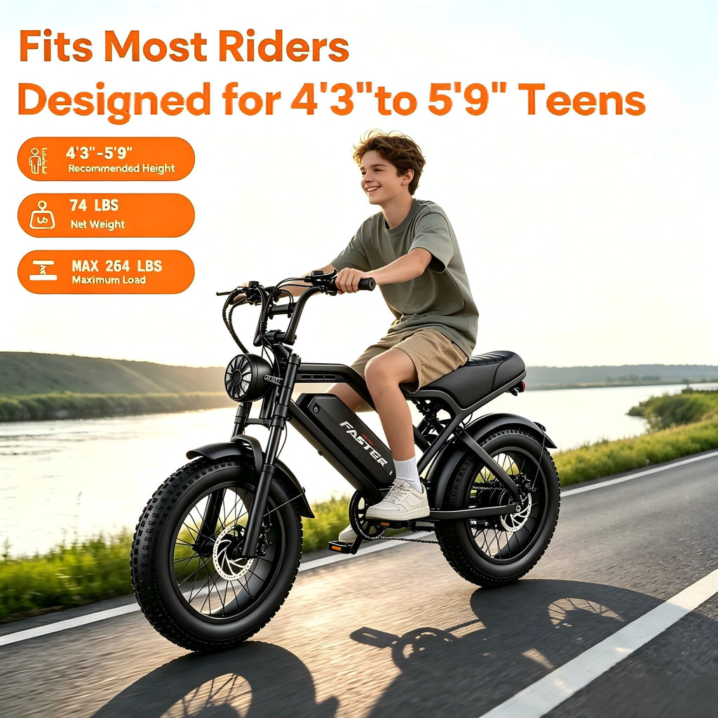 1000W 48V 16Ah Fat Tire Electric Bike V770213