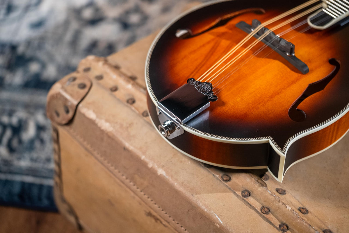 Brown Burst F-Style Mandolin D9697