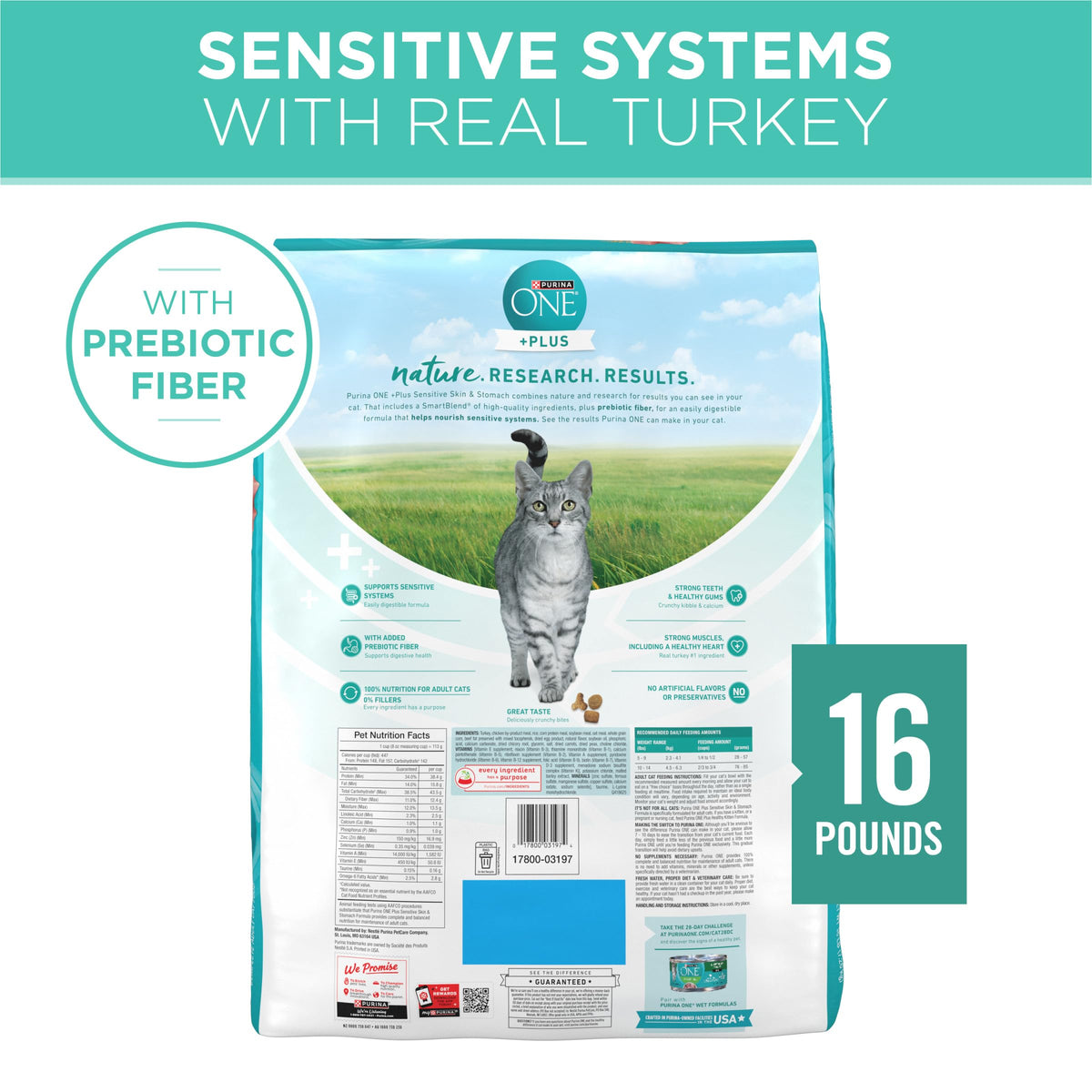 Sensitive Skin and Stomach Dry Cat Food 16 lb Bag Y907198