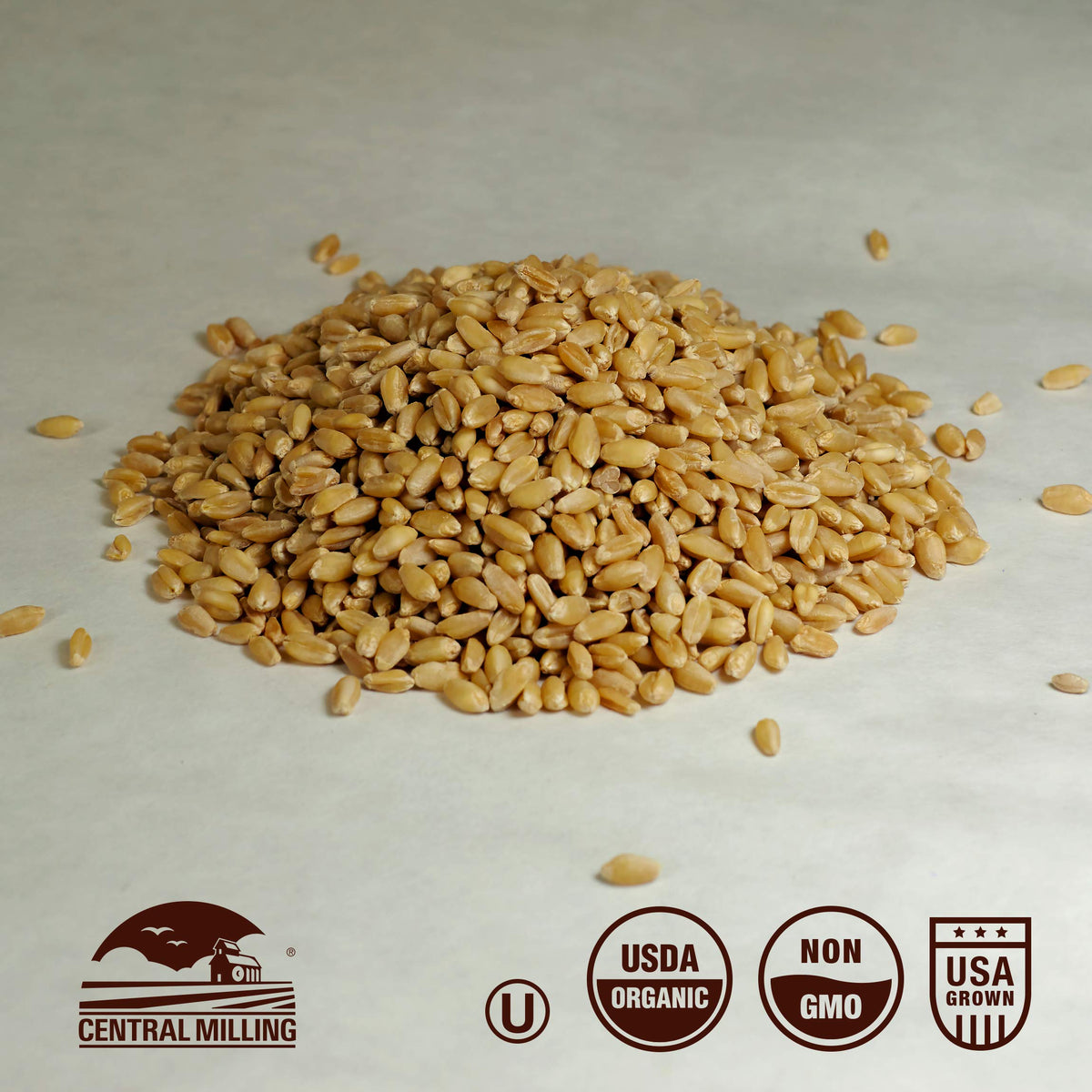 Organic Hard White Wheat Berries 25 lbs G42727