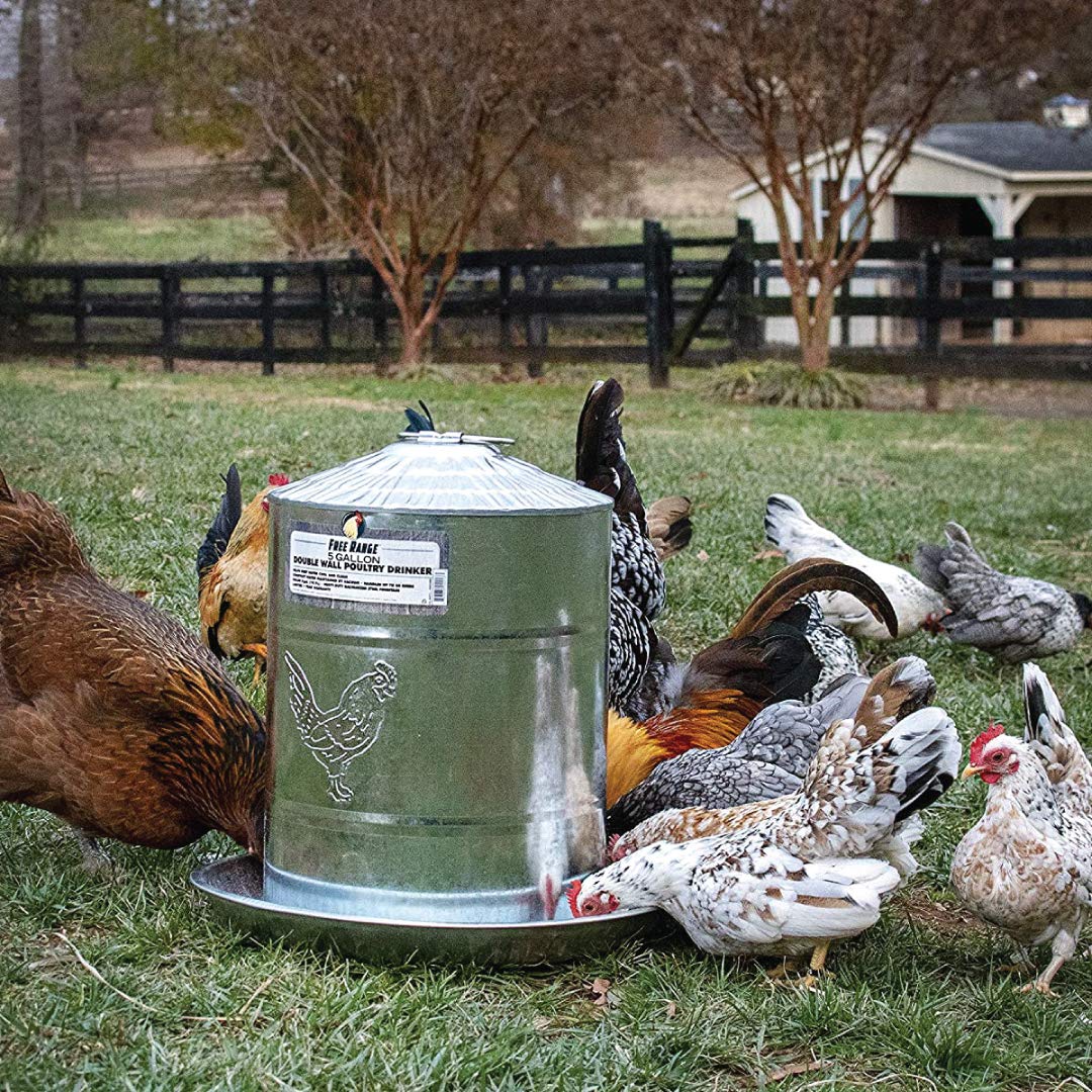 5 Gallons Double Wall Poultry Drinker D3823
