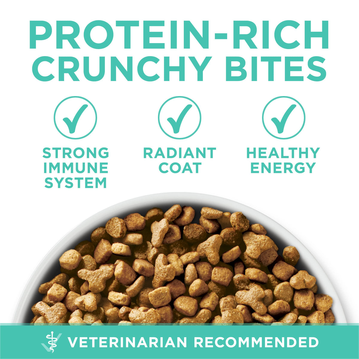 Sensitive Skin and Stomach Dry Cat Food 16 lb Bag Y907198