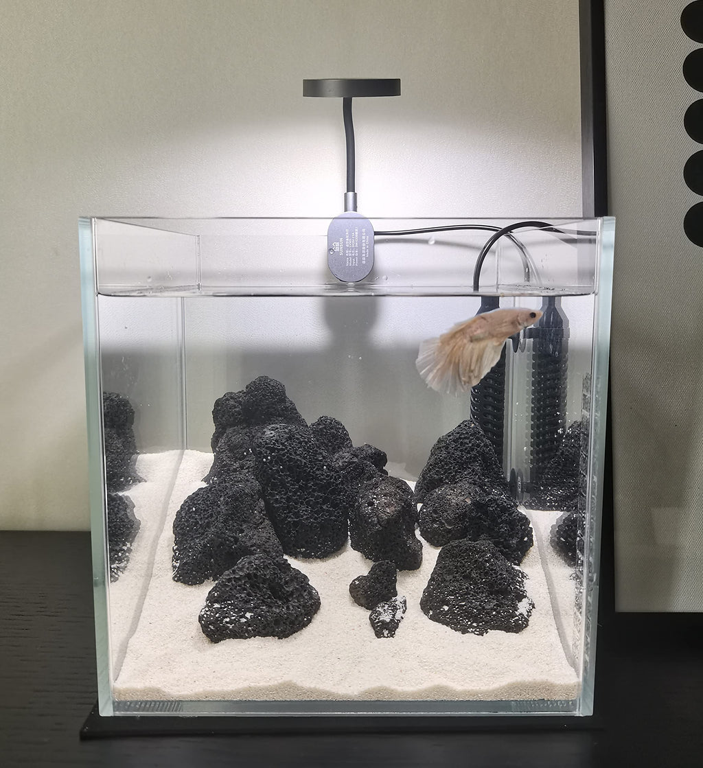 Small Nano Tall Rimless Glass Fish Tank 2 Gallon D49667