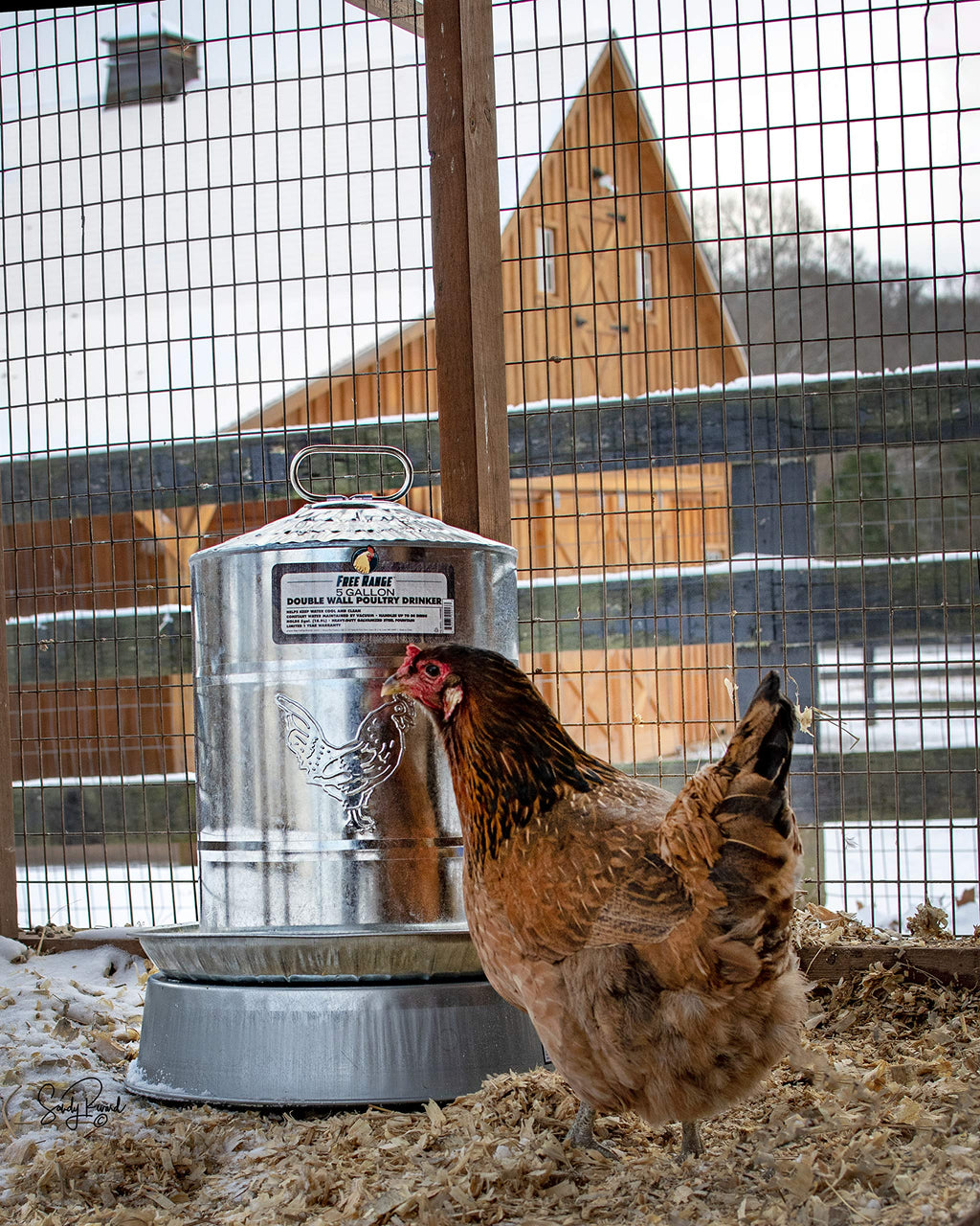 5 Gallons Double Wall Poultry Drinker D3823